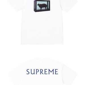 Supreme / Damien Hirst Tee “White”